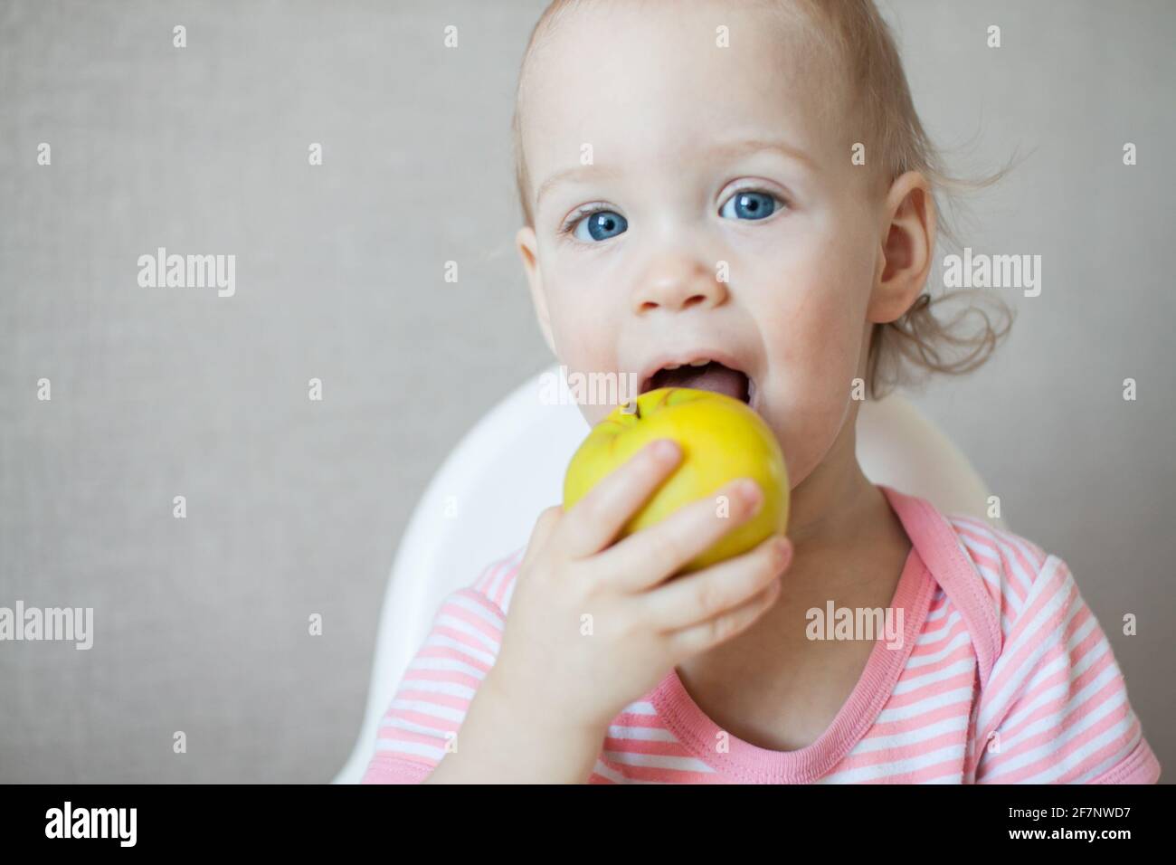 Ein kleines Mädchen schmeckt, untersucht und spielt mit frischen Äpfeln mit Freude und Interesse. Stockfoto