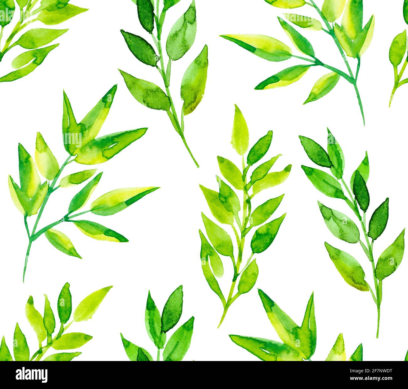 Clipart Blatter Stockfotos Und Bilder Kaufen Alamy