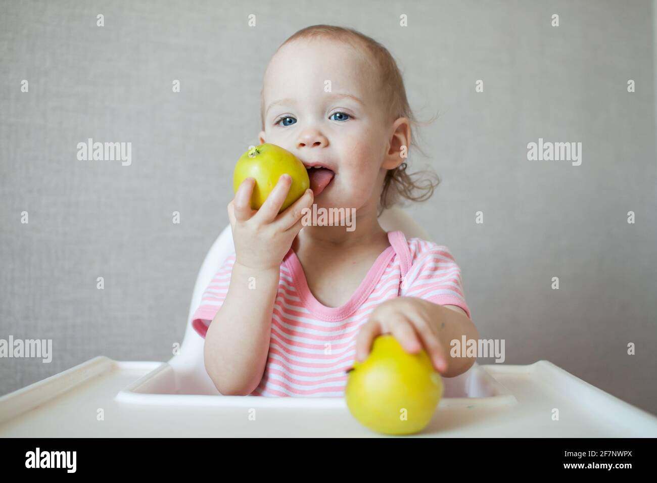 Ein kleines Mädchen schmeckt, untersucht und spielt mit frischen Äpfeln mit Freude und Interesse. Stockfoto