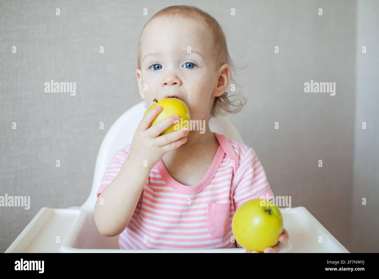 Ein kleines Mädchen schmeckt, untersucht und spielt mit frischen Äpfeln mit Freude und Interesse. Stockfoto