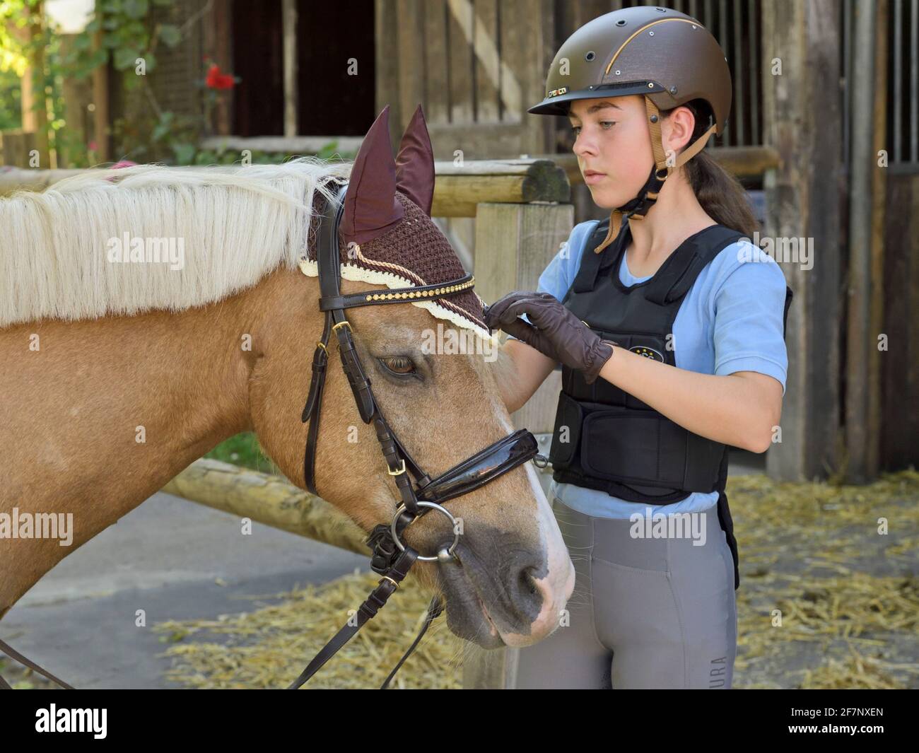Mädchen, das den Zaum aufsetzt, deutsches Pony Stockfoto