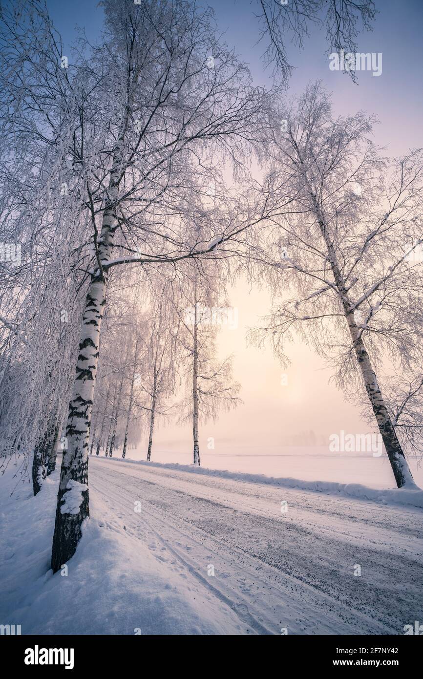 Malerische Schneelandschaft mit herrlichem Sonnenaufgang und verschneite Straße Wintermorgen in Finnland Stockfoto