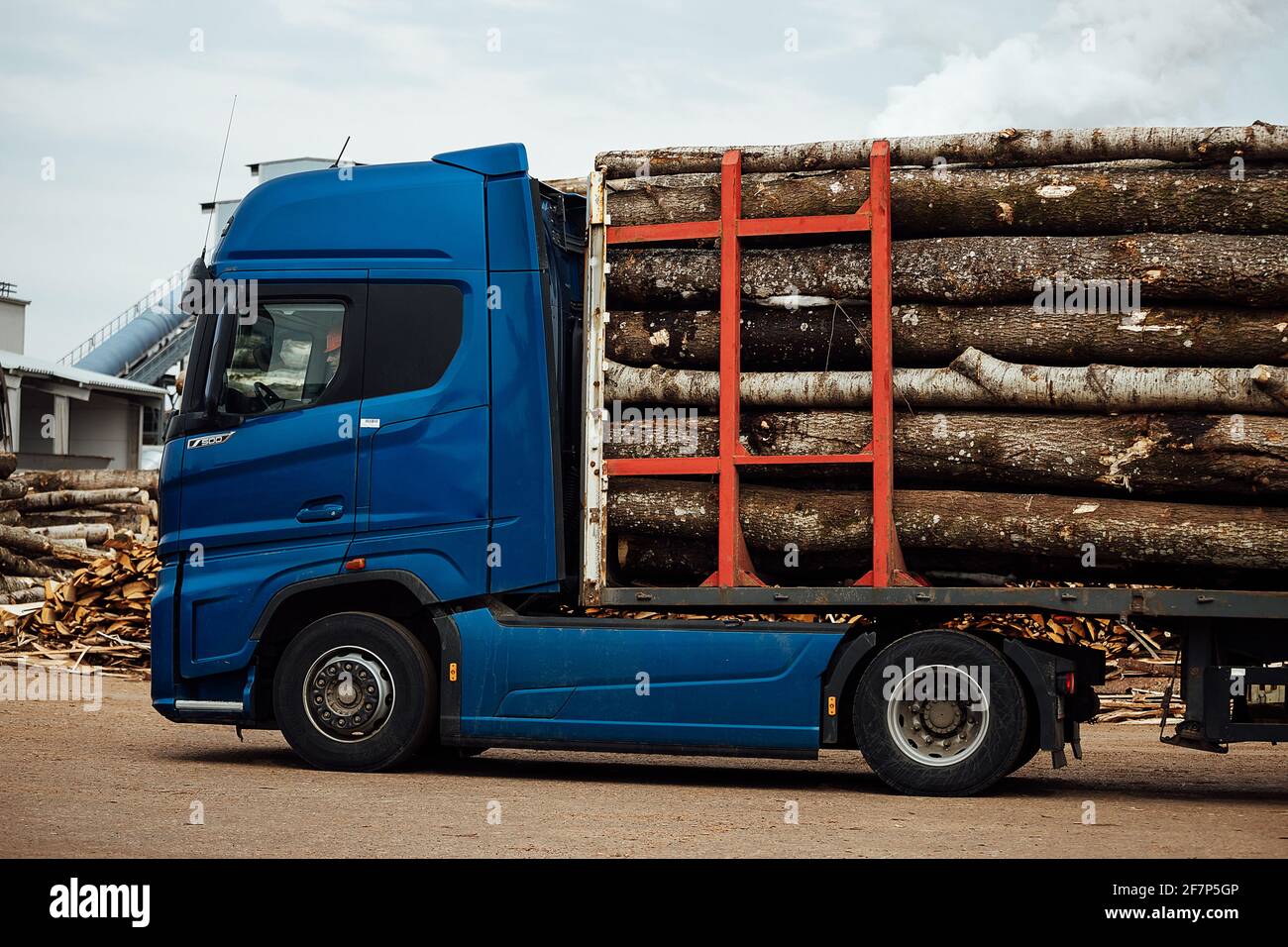 Der Frontlader transportiert das geerntete Holz in der Fabrik. Der industrielle Transport arbeitet in einem Lager. Beladung von Holzrohstoffen auf einem Förderband Stockfoto