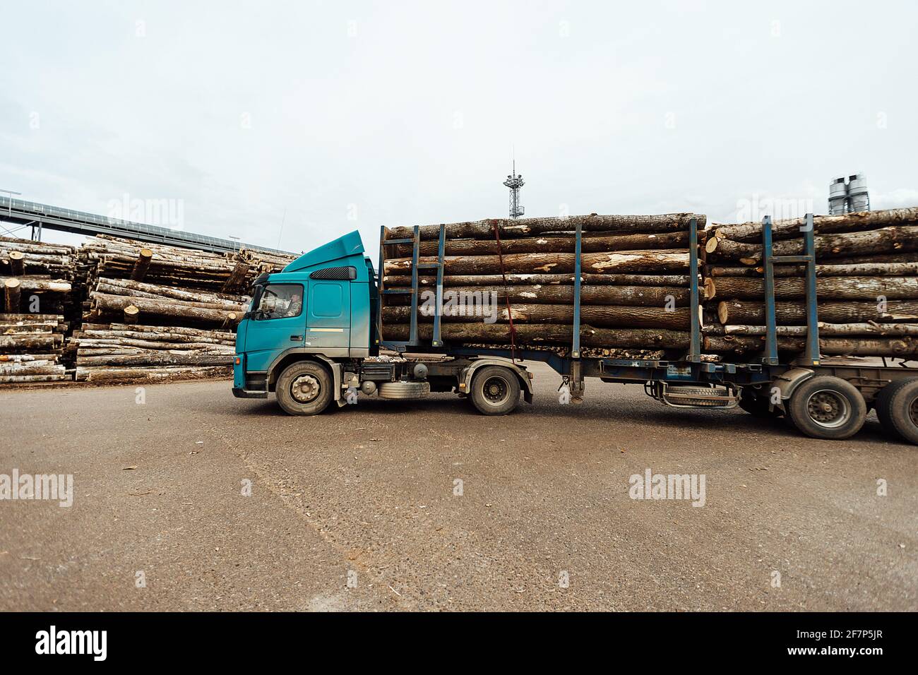 Der Frontlader transportiert das geerntete Holz in der Fabrik. Der industrielle Transport arbeitet in einem Lager. Beladung von Holzrohstoffen auf einem Förderband Stockfoto