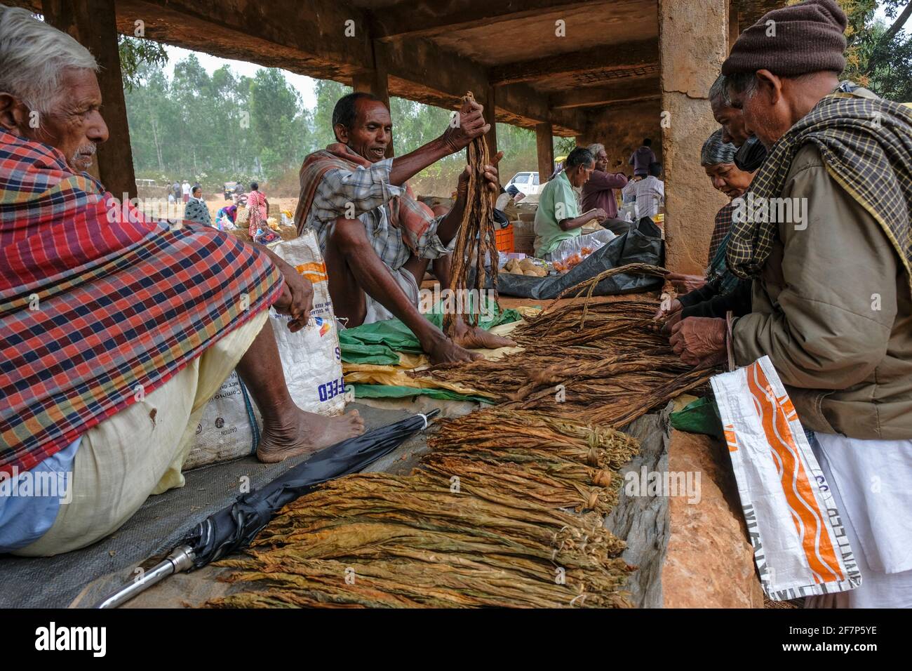 Laxmipur, Indien - Februar 2021: Männer verkaufen Tabakblätter auf dem Wochenmarkt in Laxmipur am 20. Februar 2021 in Odisha, Indien. Stockfoto