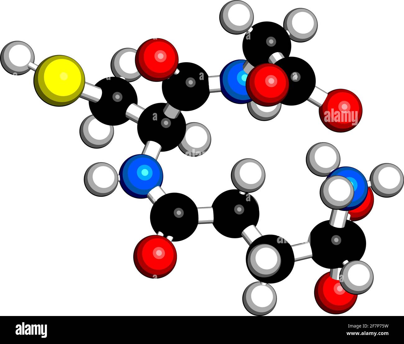 Glutathion (oxidiertes Glutathion, GSSG)-Molekül. 3D-Rendering. Atome werden als Kugeln mit konventioneller Farbkodierung dargestellt: Wasserstoff (weiß), ca. Stock Vektor