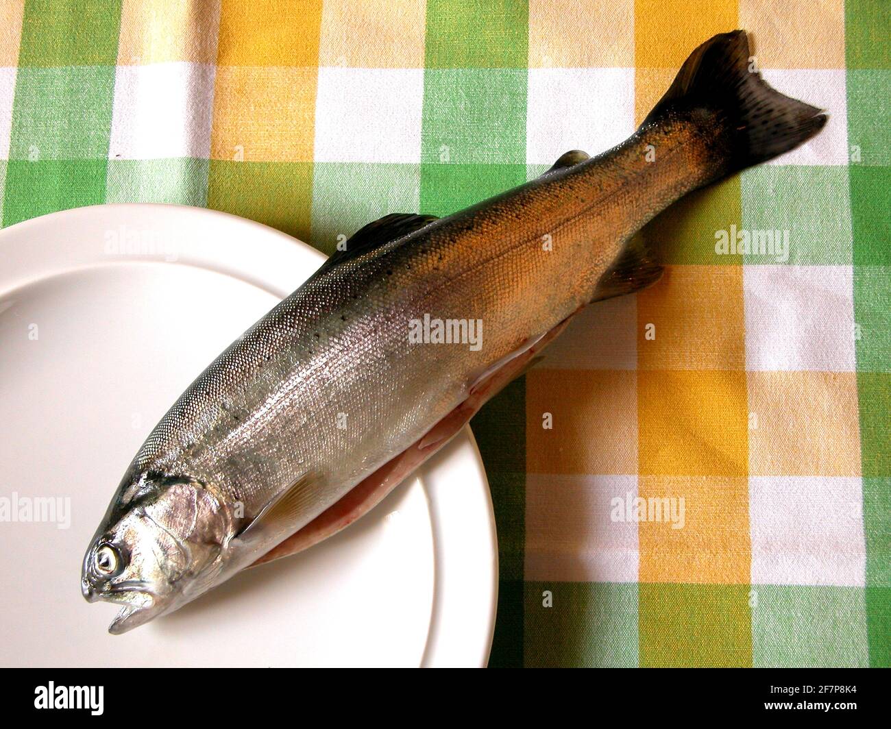 Frische Forelle auf einem Teller Stockfoto