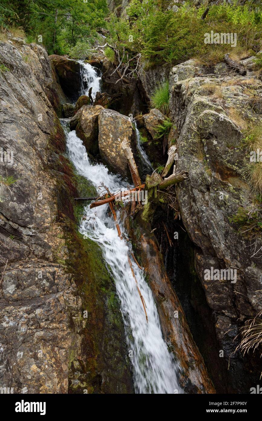 Coma Pedrosa Fluss, im Nationalpark Comapedrosa (Andorra, Pyrenäen) ESP: Río de Coma Pedrosa, en el Parque Comunal del Comapedrosa (Andorra) Stockfoto