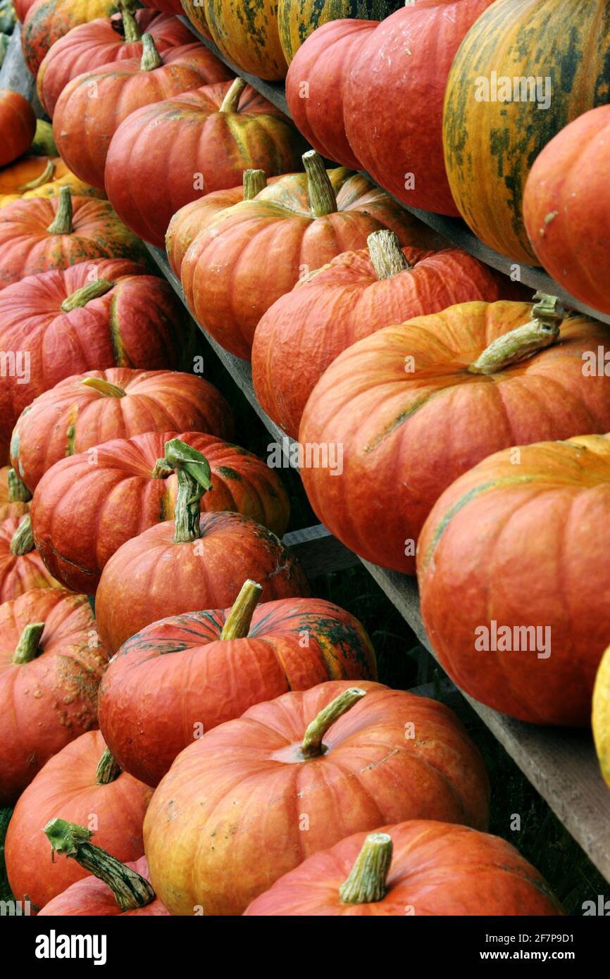 Verkaufskabine Stockfotos und -bilder Kaufen - Alamy