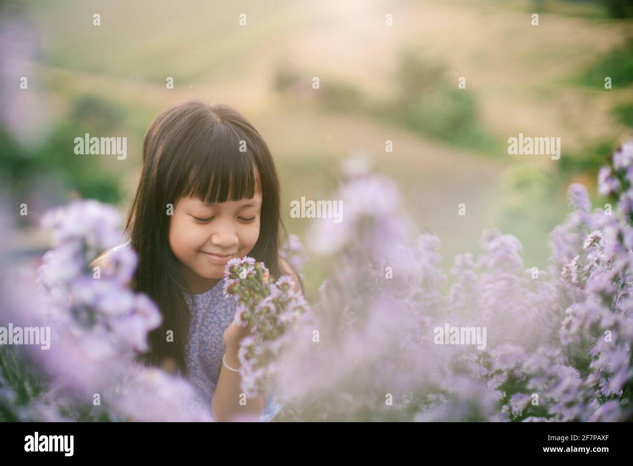Asiatische kleines Kind Mädchen lächelt in Blumenfeldern Stockfoto