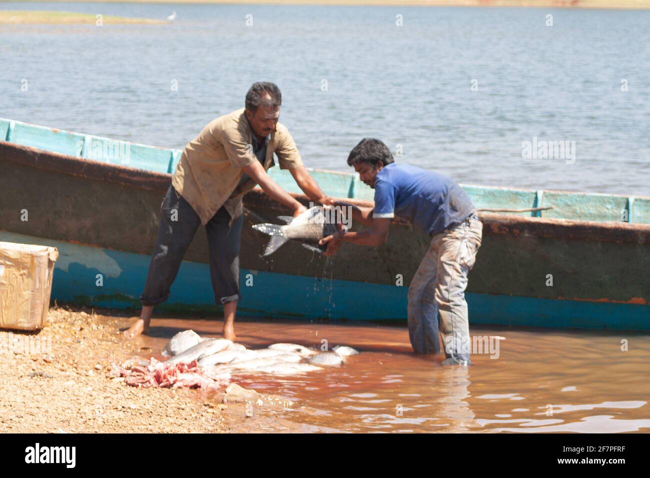 Fischer mit Fischfang am Kabini River, Karnataka, Indien Stockfoto