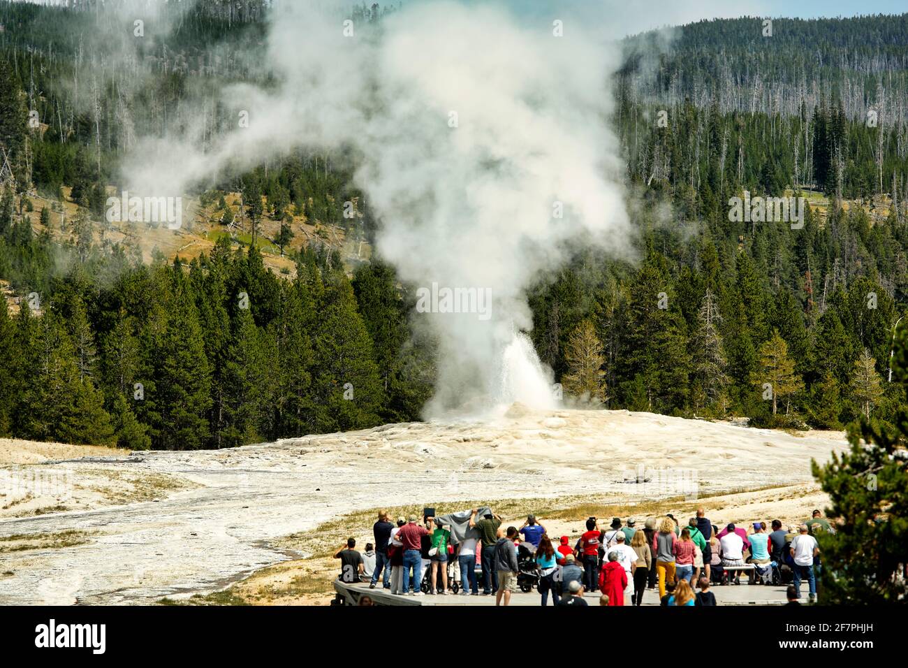 Touristen, die den Alttreuen Geysir betrachten. Yellowstone-Nationalpark. Wyoming. USA. Stockfoto