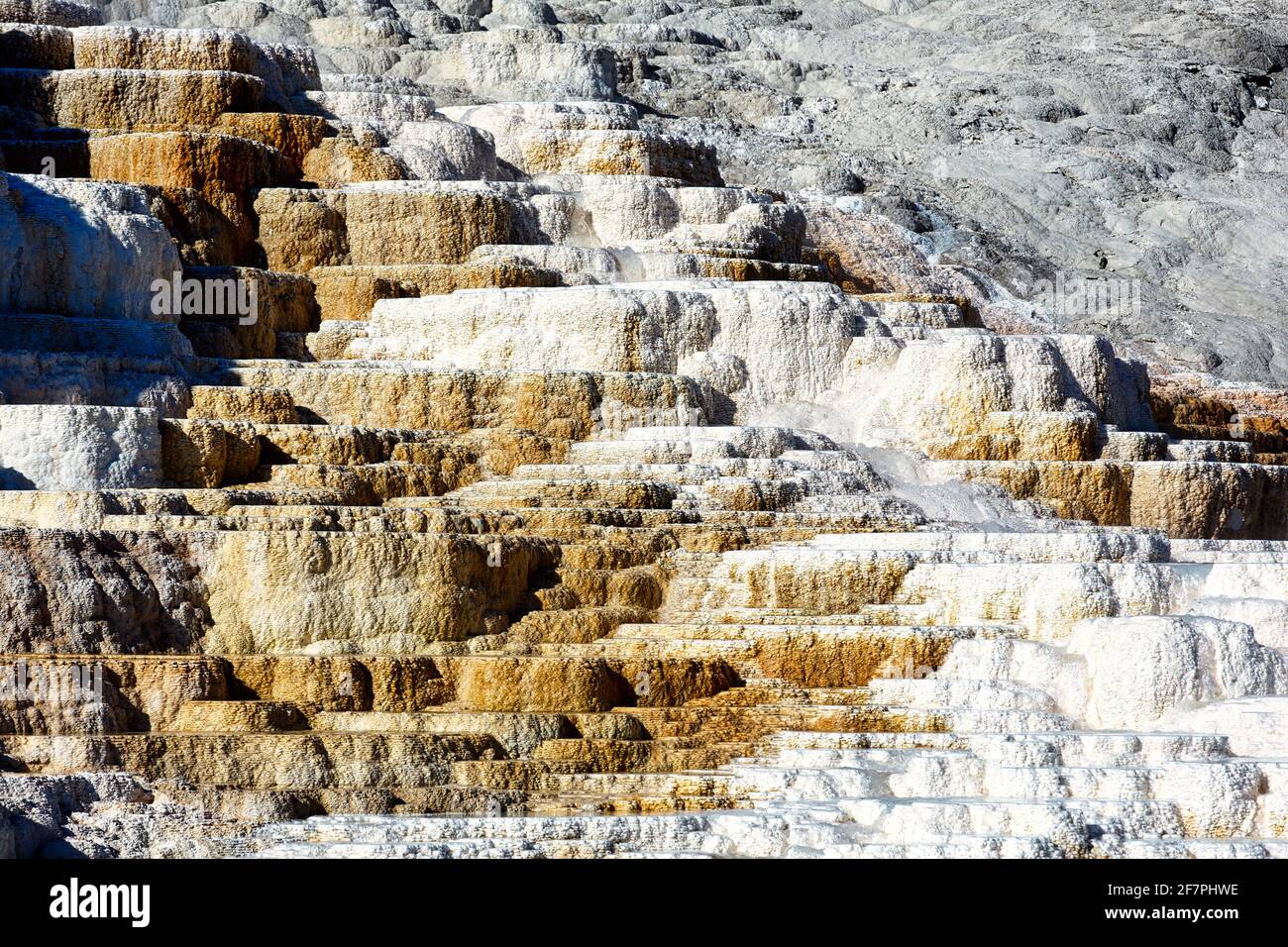 Palettenfedern. Teufel Daumen an den Mammoth Hot Springs. Yellowstone-Nationalpark. Wyoming. USA. Stockfoto