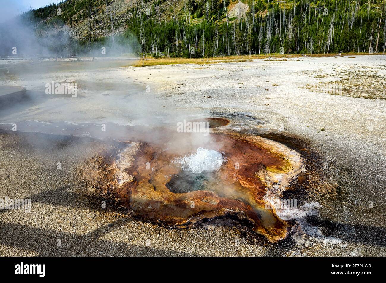 Becken Mit Schwarzem Sand. Taschentuch-Pool im Yellowstone-Nationalpark. Wyoming. USA. Stockfoto