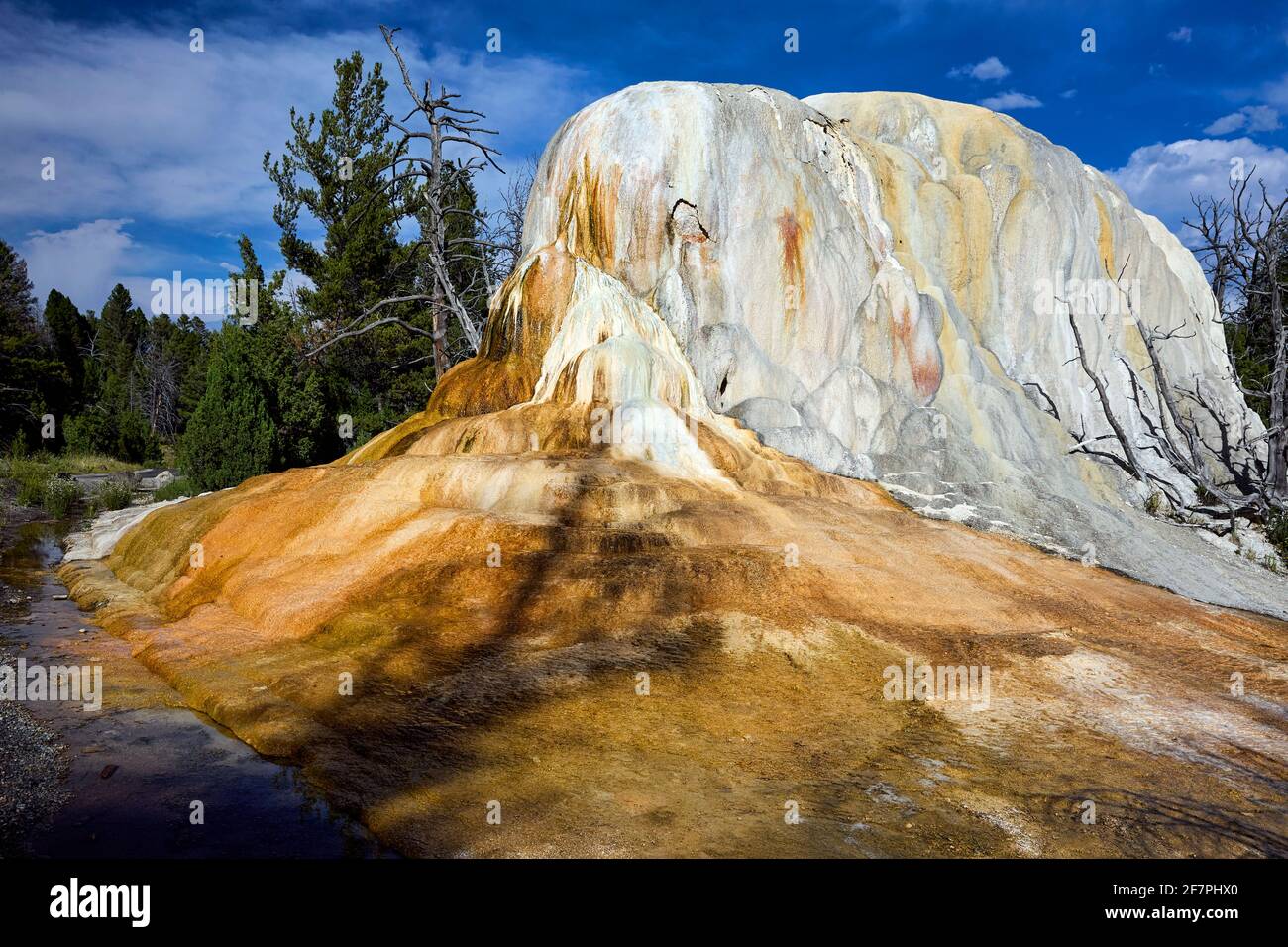 Orange Spring Mound an den Mammoth Hot Springs. Yellowstone-Nationalpark. Wyoming. USA. Stockfoto
