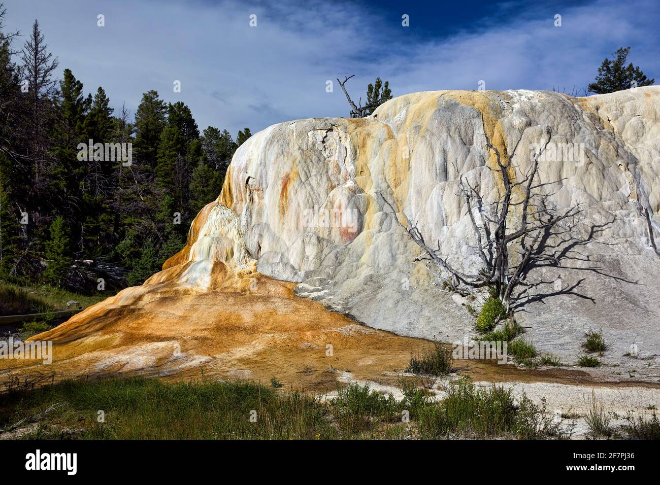 Orange Spring Mound an den Mammoth Hot Springs. Yellowstone-Nationalpark. Wyoming. USA. Stockfoto