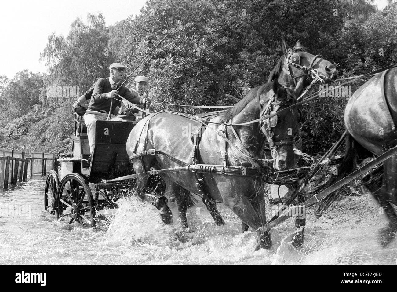 Datei-Foto vom 17/09/83 von erfahrenem Pferdefahrer, dem Herzog von Edinburgh, der ängstlich aussieht, als er während der berühmten Grouse National Carriage Driving Championships auf Smith's Lawn in Schwierigkeiten am Hindernis-Teich Gerät. Er war der Ehemann der Königin und der Patriarch der königlichen Familie, aber wofür wird man sich an den Herzog von Edinburgh erinnern? Ausgabedatum: Freitag, 4. April 2021. Stockfoto