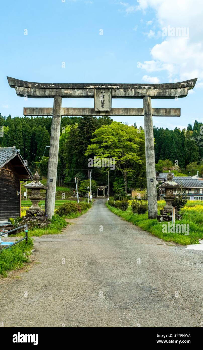 Die steinernen Torii-Tore zum Ninomiya Hachiman-Schrein in der Nähe des Harajiri-Wasserfalls an einem sonnigen Nachmittag in Bungoono kyushu, Japan Stockfoto