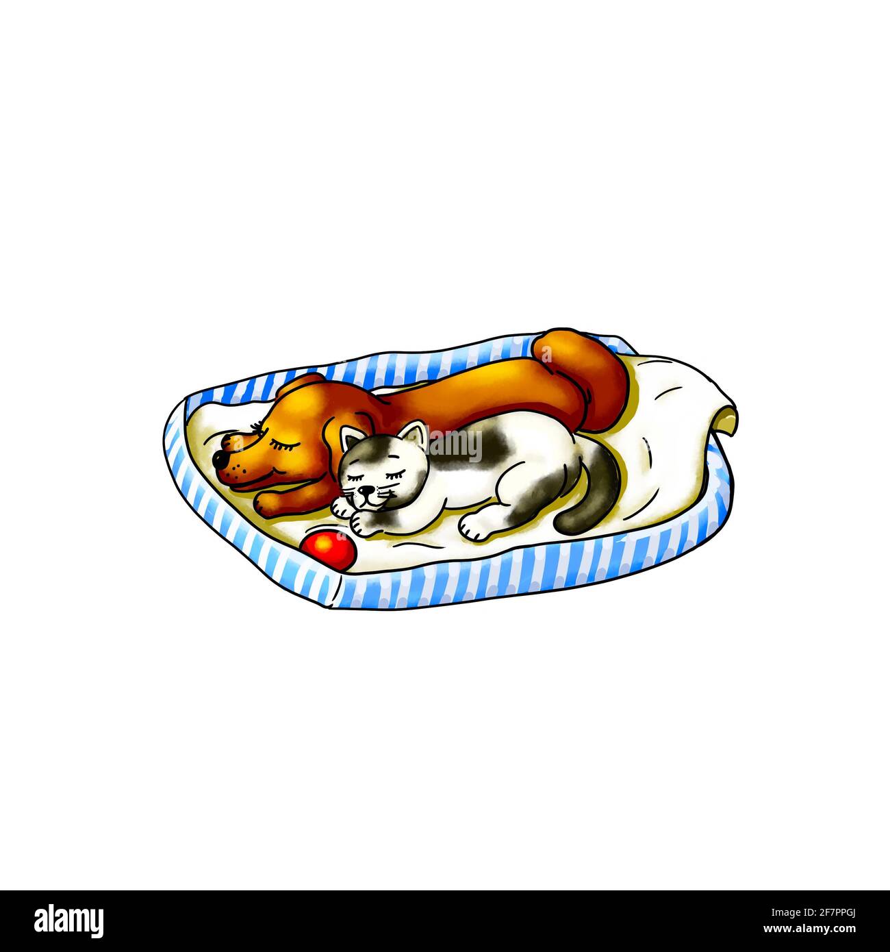 Hund Welpen Baby Tiere Haustier Katze Kätzchen Baby Tier liegen Im Hundekorb auf der Decke und schlafen zusammen kuscheln Ruhe niedlichen Tier Boarding Spielzeug Ball Stockfoto