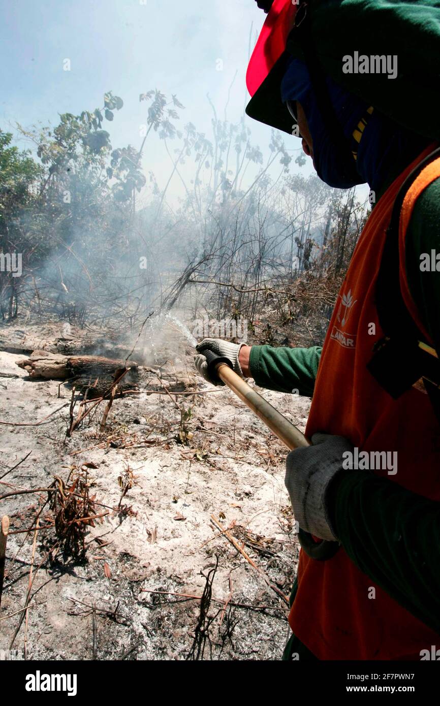 prado, bahia / brasilien - 8. dezember 2009: Brigade-Mitglieder bekämpfen Waldbrände im Urwald des Discovery National Park, in der Gemeinde PR Stockfoto