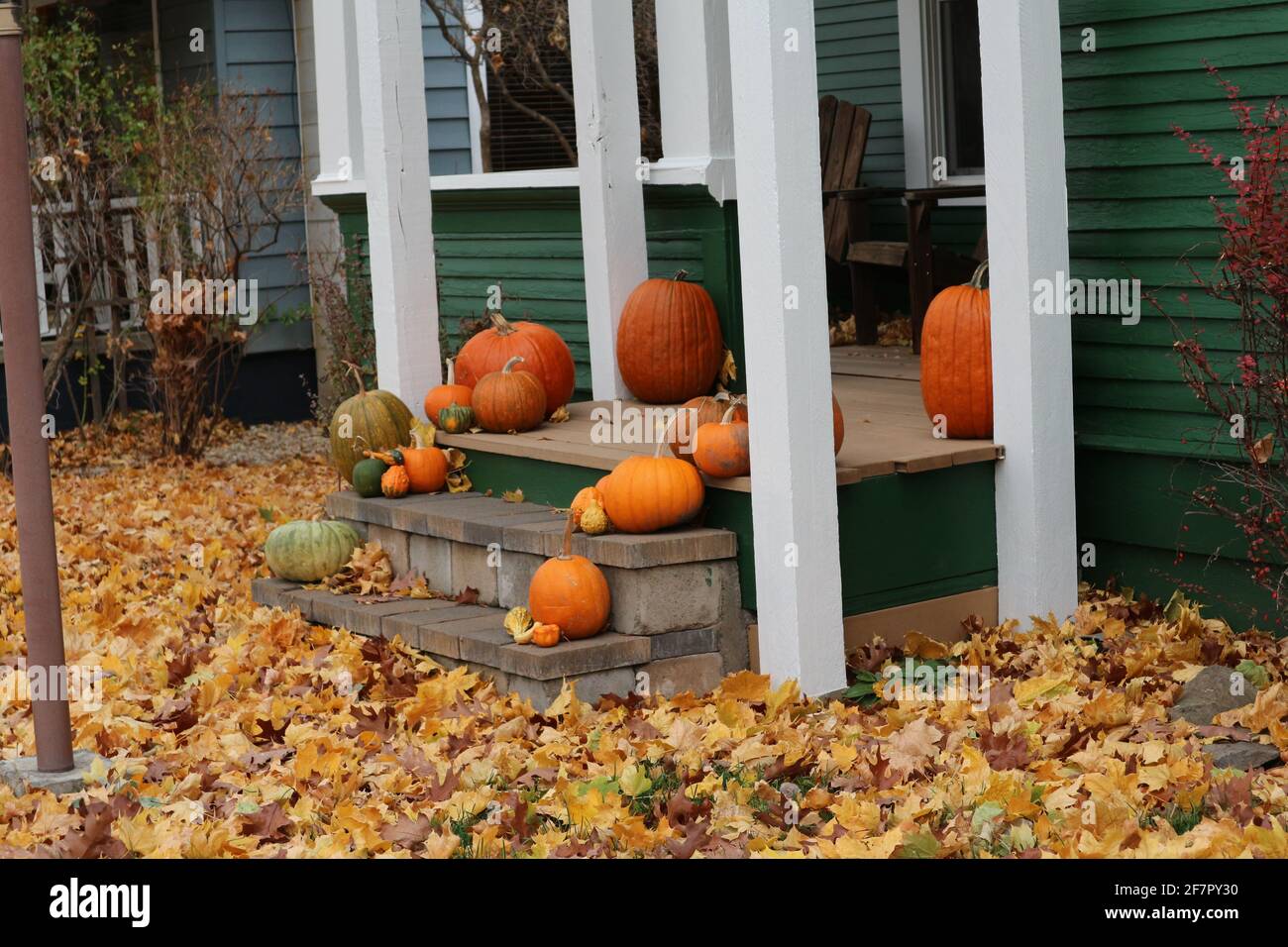 Ein knackiger Herbsttag mit gefallenen Blättern auf einem Rasen und einer mit Kürbissen geschmückten Veranda gibt Stimmung für kommende Halloween. Ländliche Amerika Stockfoto