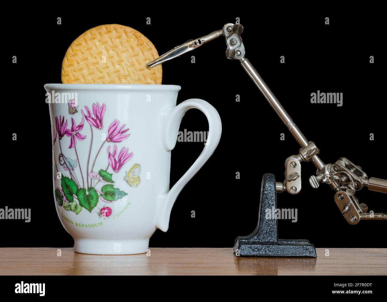 Roboterarm, der einen Keks in Kaffee eintünchen soll. Beispiel für eine dumme, dumme, verrückte und sinnlose Erfindung einer nutzlosen Maschine. Stockfoto