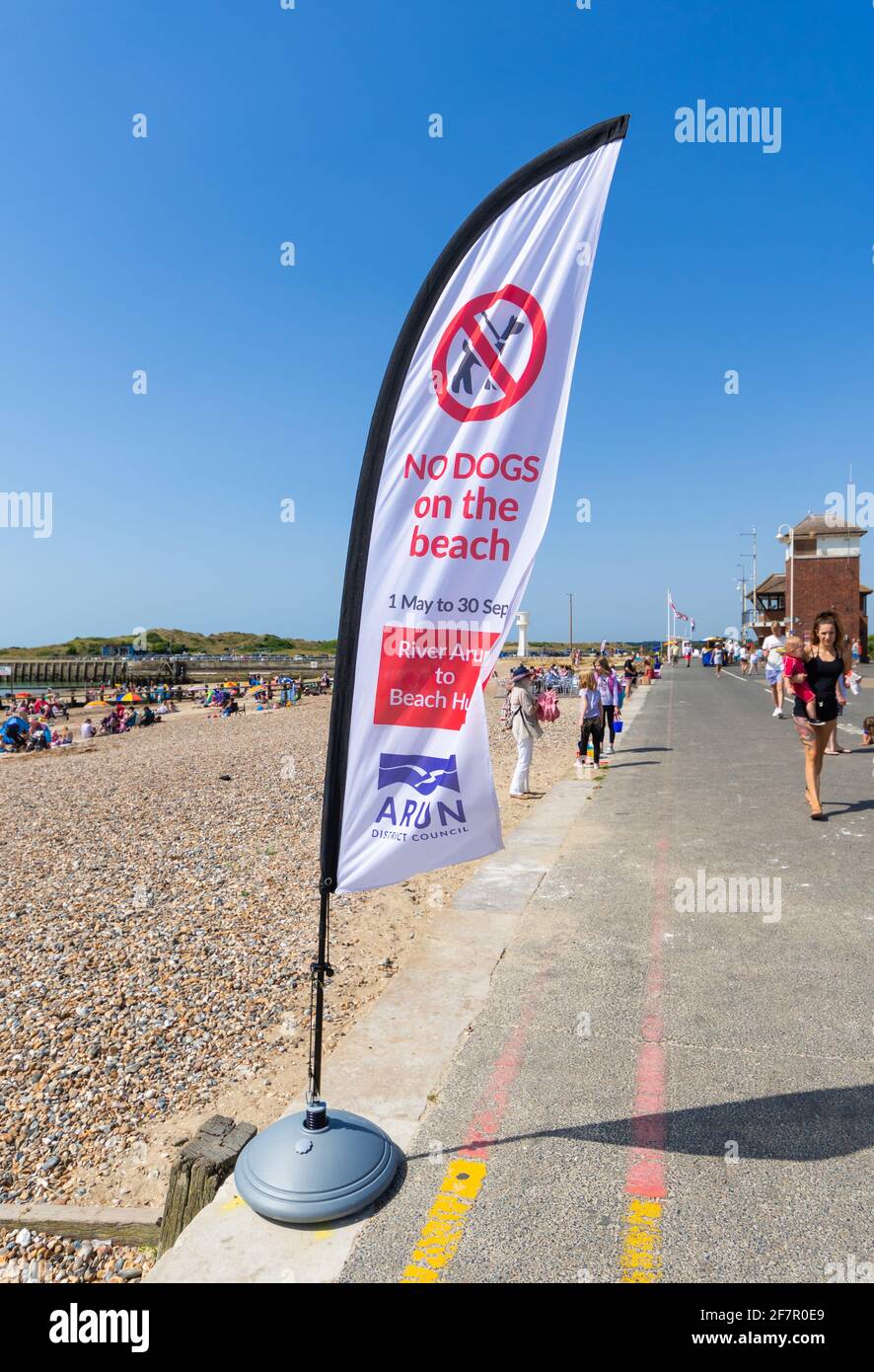 Eine Flagge Warnung, dass Hunde nicht am Strand erlaubt, direkt an der Strandpromenade im Sommer in Littlehampton, West Sussex, England, UK. Stockfoto