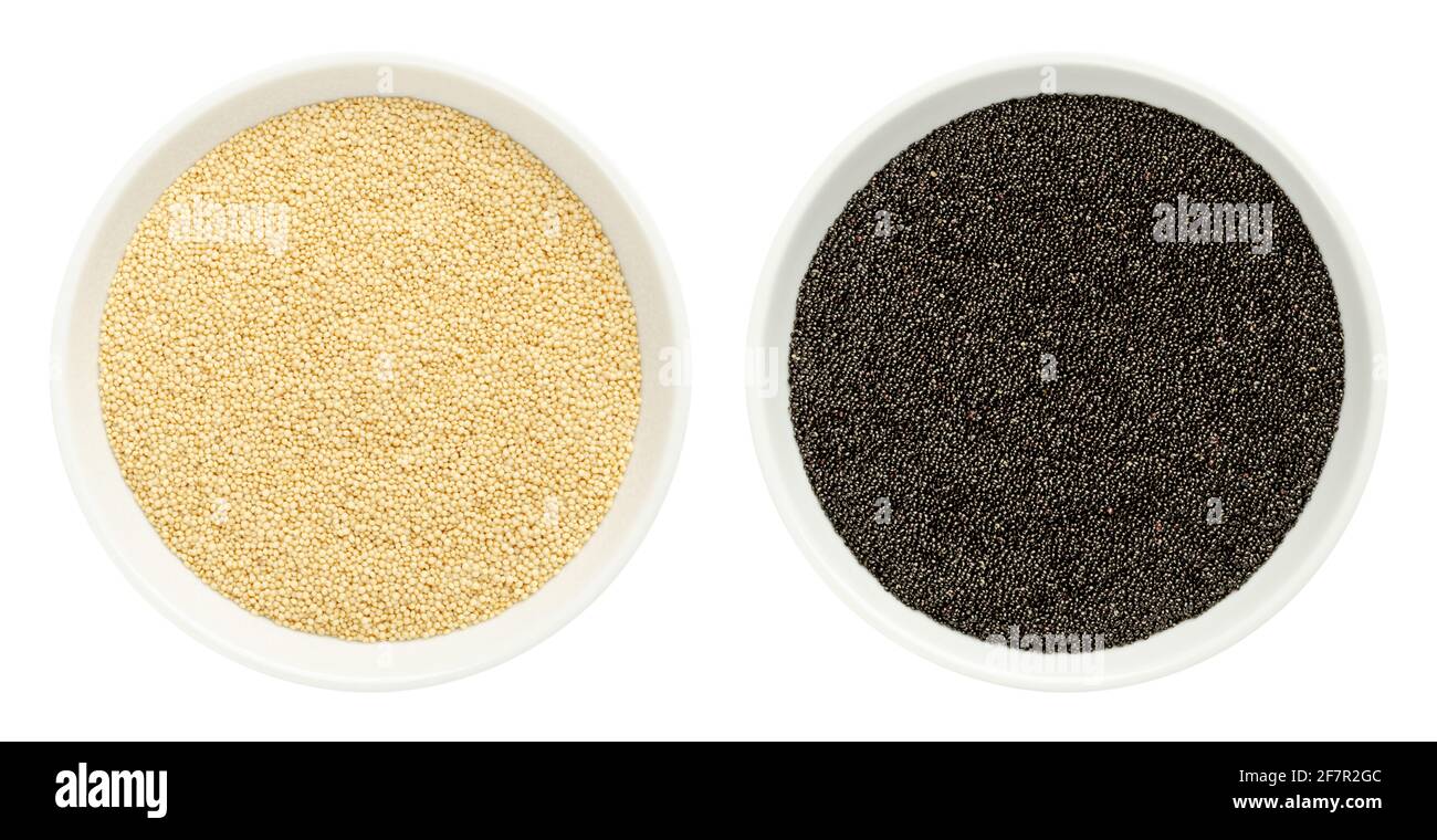 Amaranth-Korn in weißen Schalen. Samen von schwarzen und weißen Amaranthus, glutenfreie Pseudozerealien, ein Hauptnahrungsmittel und Proteinquelle der Azteken. Stockfoto
