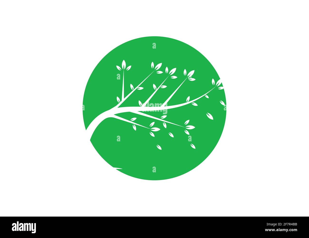 Baum Logo Design Vektor Illustration Vorlage Stock Vektor