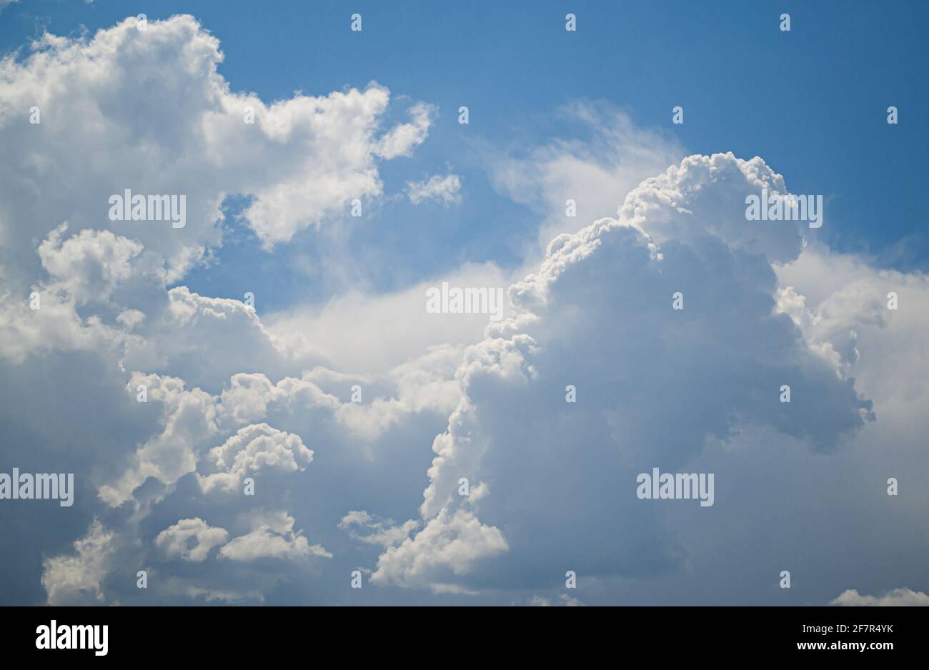 Weiße Cumulus-Wolken am blauen Himmel. Stockfoto