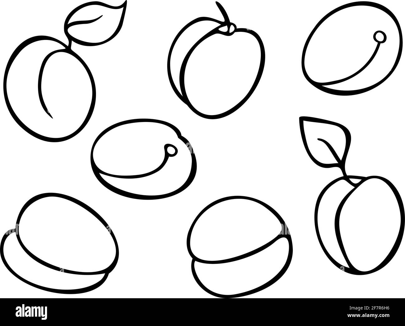 Vector Set mit Aprikosenfrüchten. Design für das ausmalen. Stock Vektor