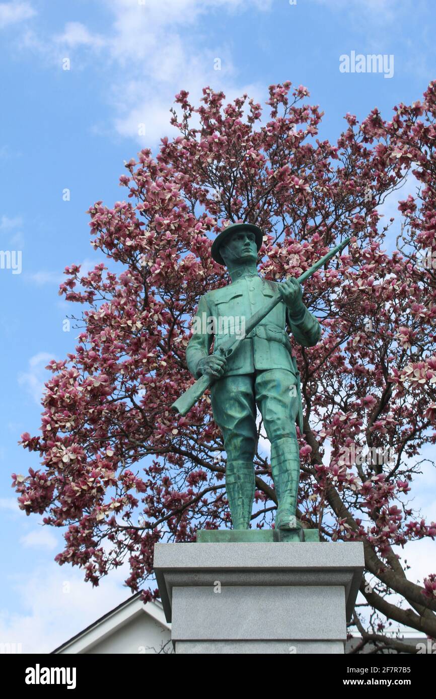 Morton Grove, Illinois' World war I Doughboy Monument mit Magnolienblüten Stockfoto