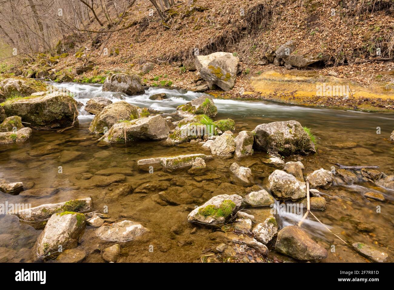 Ein malerischer Fluss im Wald mit Stromschnellen im Frühling. Stockfoto