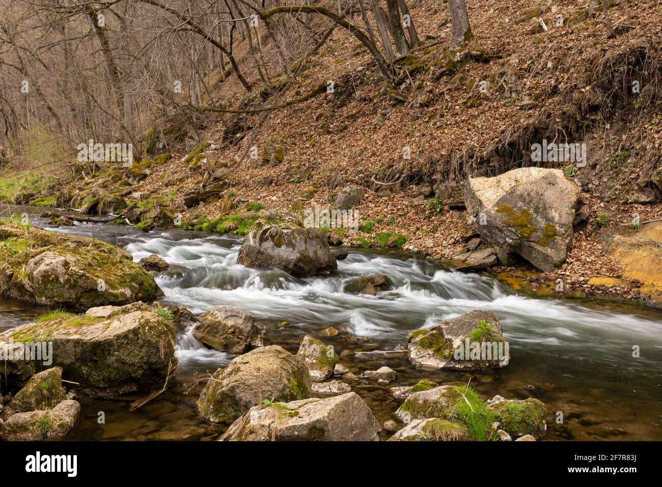 Ein malerischer Fluss im Wald mit Stromschnellen im Frühling. Stockfoto