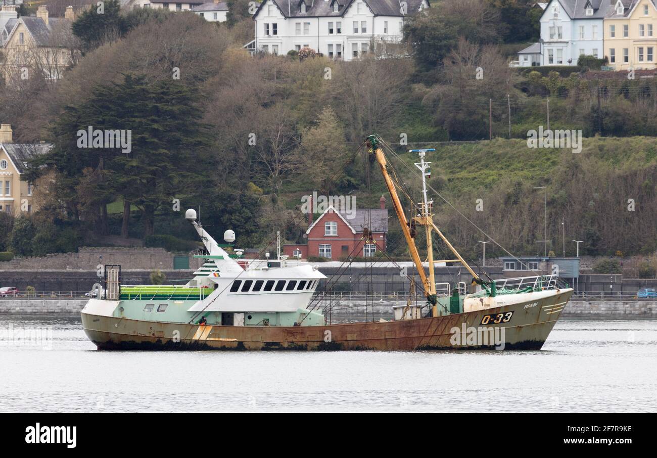 Cobh, Cork, Irland. April 2021. Die in Belgien registrierte Trawlerin Marbi führt an den farbenfrohen Gebäuden an der Strandpromenade der historischen Stadt Cobh, Co. Cork vorbei, wo sie ihren Fang abladen wird. - Credit; David Creedon / Alamy Live News Stockfoto