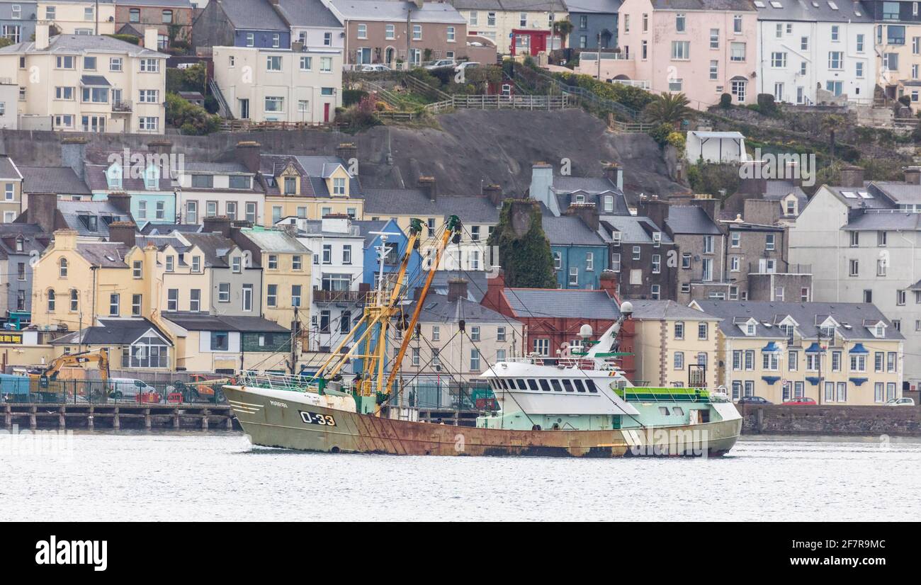 Cobh, Cork, Irland. April 2021. Die in Belgien registrierte Trawlerin Marbi führt an den farbenfrohen Gebäuden an der Strandpromenade der historischen Stadt Cobh, Co. Cork vorbei, wo sie ihren Fang abladen wird. - Credit; David Creedon / Alamy Live News Stockfoto