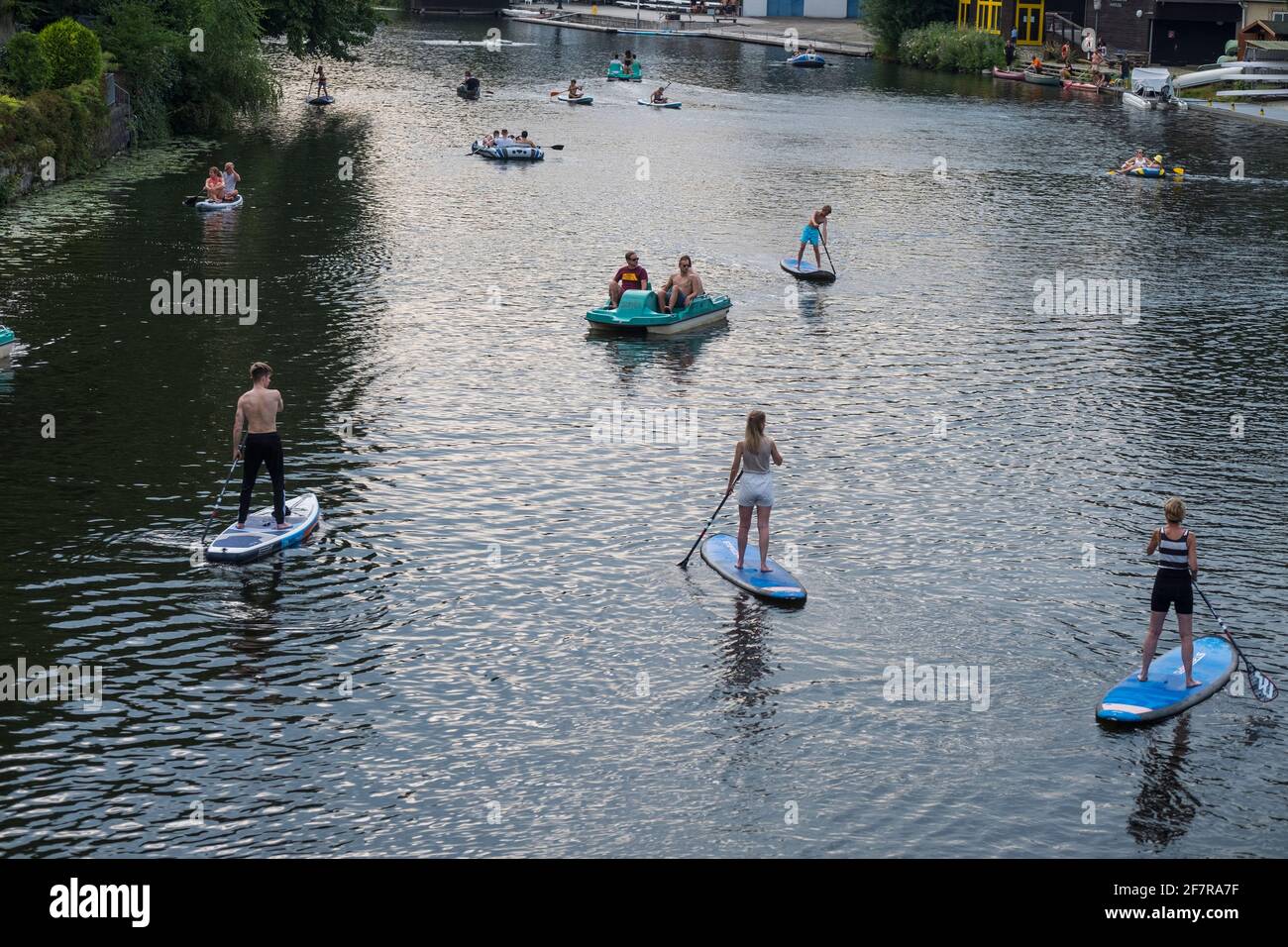 Stand-Up Paddler auf der Hamburger Alster. Stockfoto
