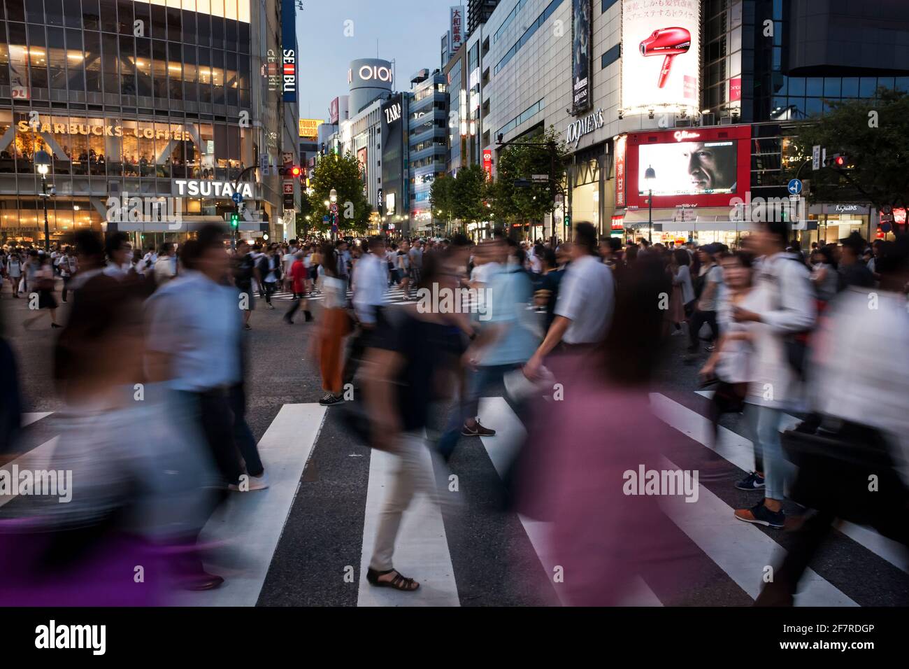 Horizontale Ansicht des Fußgängertrubels in Shibuya Crossing in der Abenddämmerung, Shibuya, Tokio, Japan Stockfoto