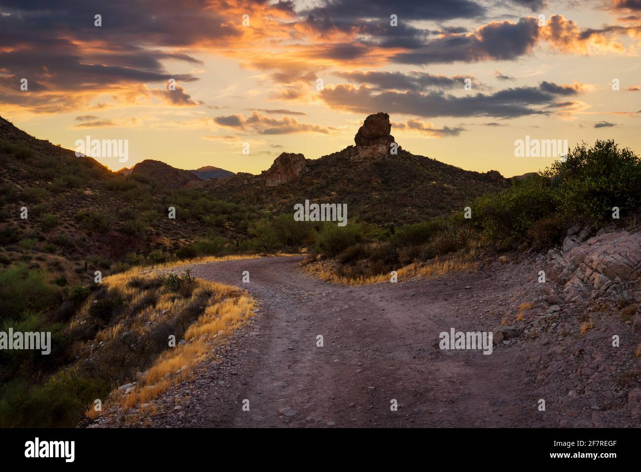 Sonnenuntergangslandschaft Wüstenlandschaft in der Nähe von Canyon Lake und Apache Junction, Arizona. Stockfoto