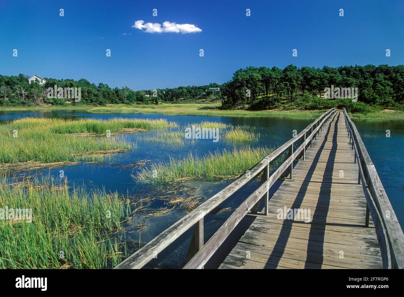 Oncle Tim's Bridge, eine historische Fußgängerbrücke über Duck Creek in Wellfleet, Cape Cod, MA USA Stockfoto