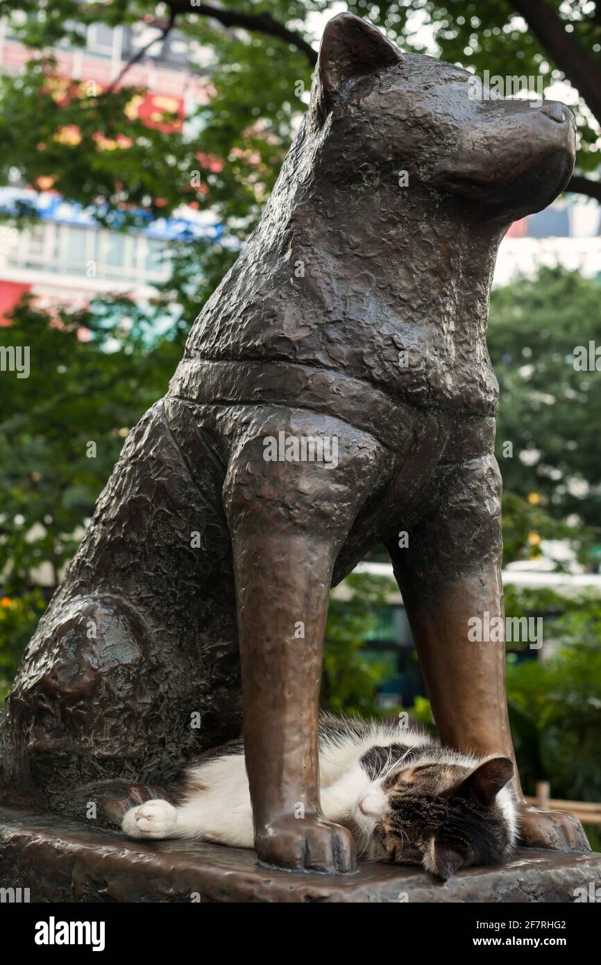 Shibuya hachiko dog tokyo -Fotos und -Bildmaterial in hoher Auflösung ...