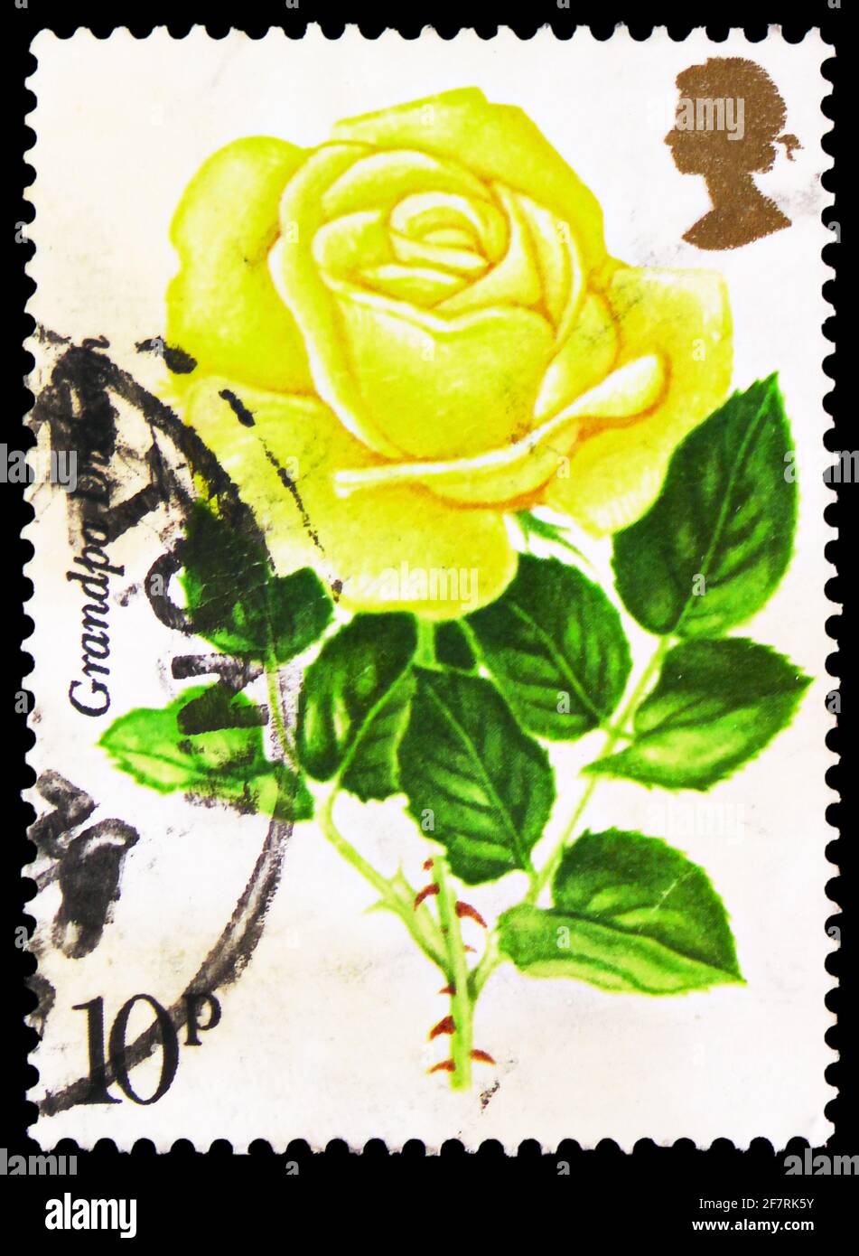 MOSKAU, RUSSLAND - 17. JANUAR 2021: Die in Großbritannien gedruckte Briefmarke zeigt Opa Dickson, den 100. Jahrestag der Royal National Rose Society Serie, Stockfoto