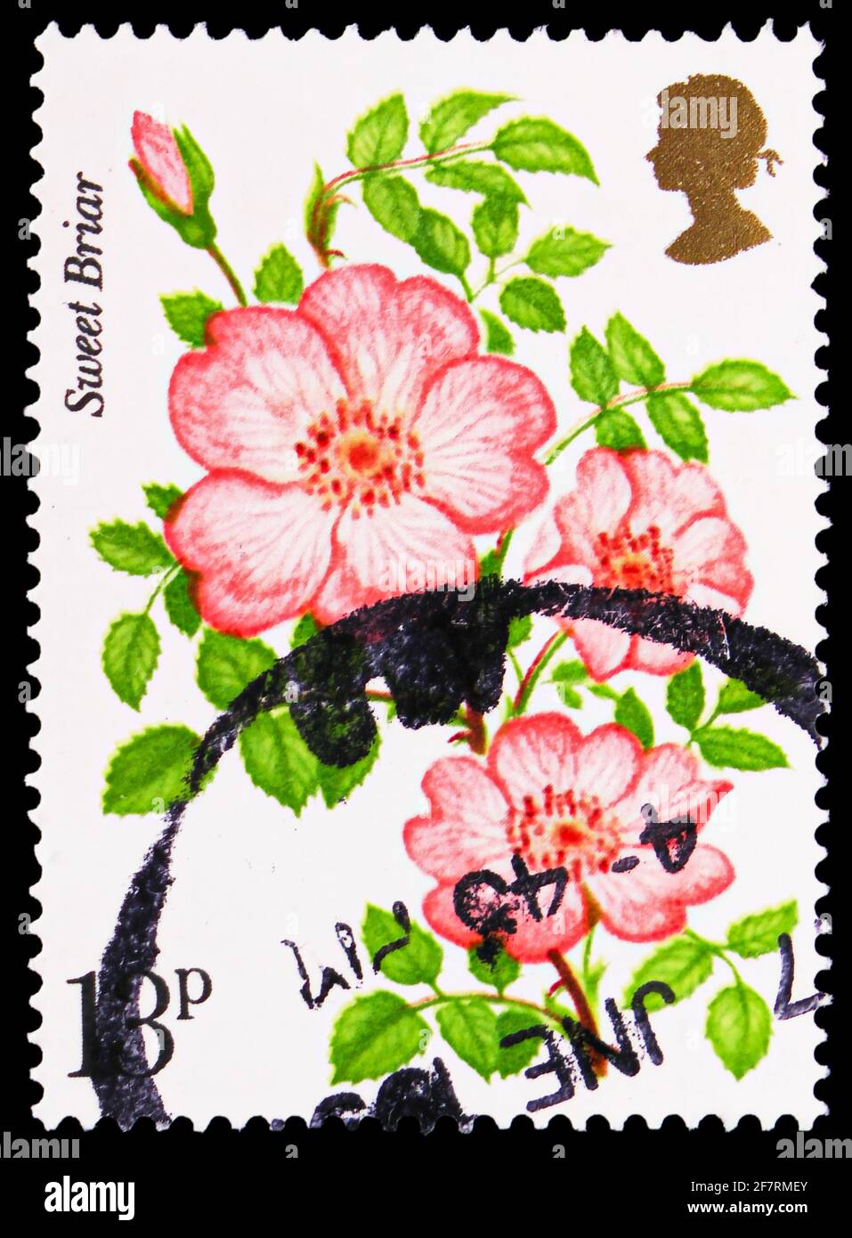 MOSKAU, RUSSLAND - 17. JANUAR 2021: Die in Großbritannien gedruckte Briefmarke zeigt Sweet Briar, hundertjähriges Jubiläum der Royal National Rose Society Serie, circ Stockfoto