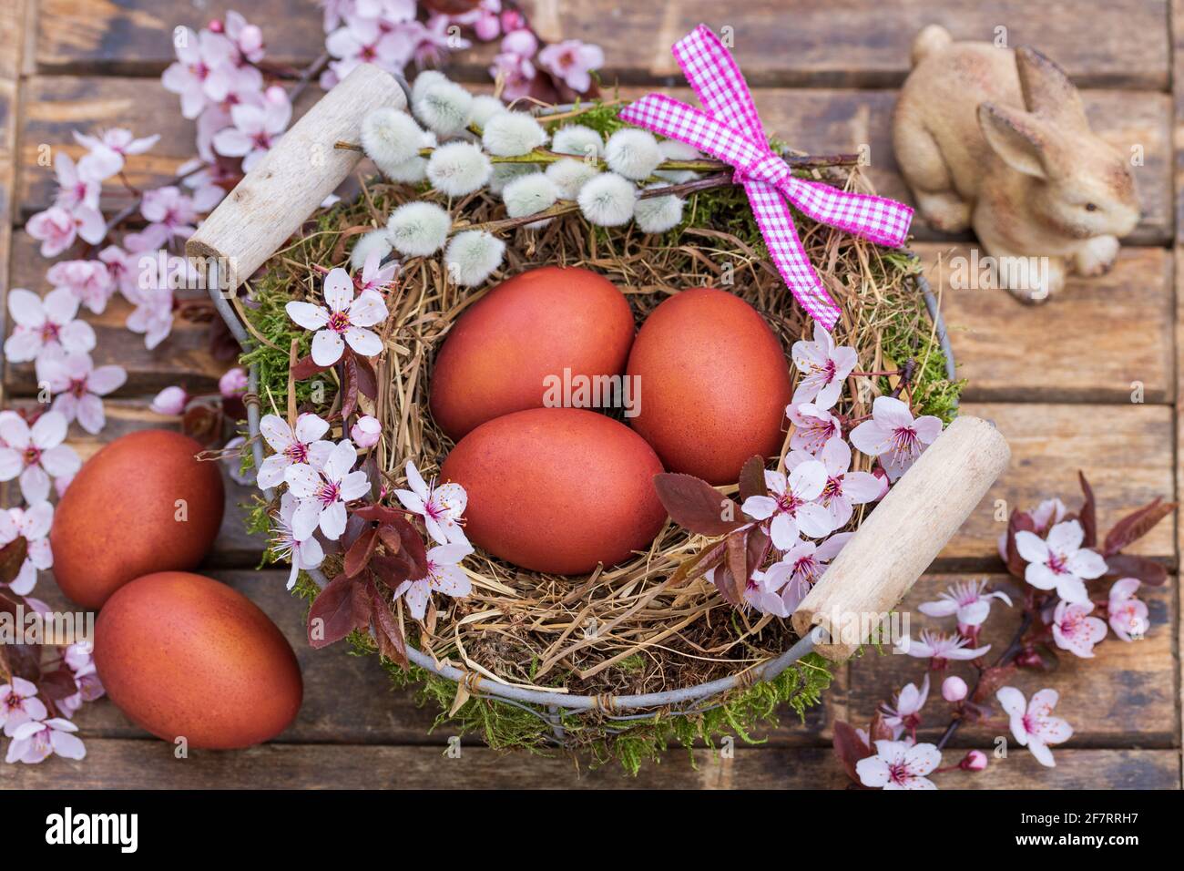 Bunte Eier in Korb und Kirschblüte als osterdekoration Stockfoto