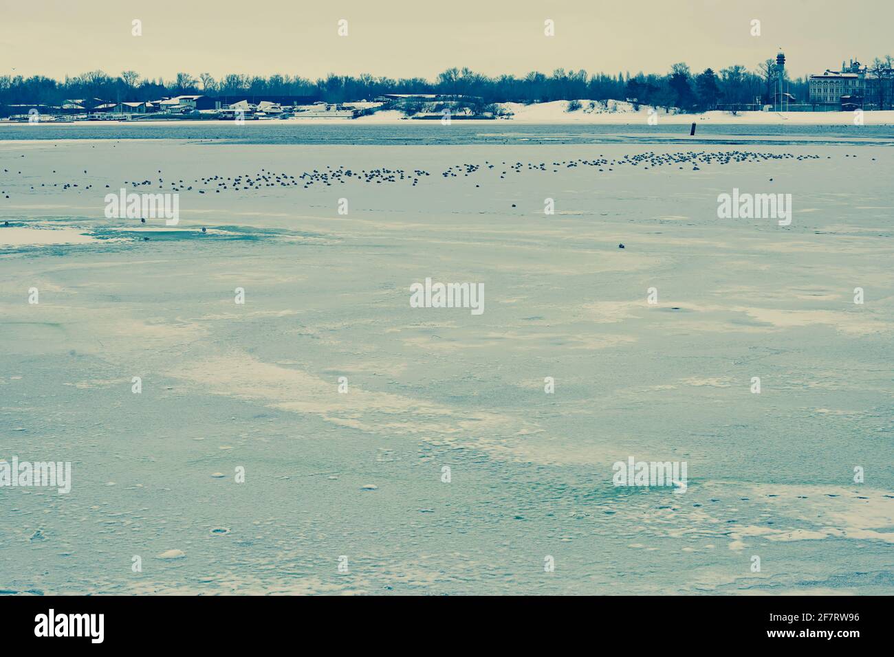 Eis auf dem Fluss im Winter - graue Textur, Hintergrund Stockfoto
