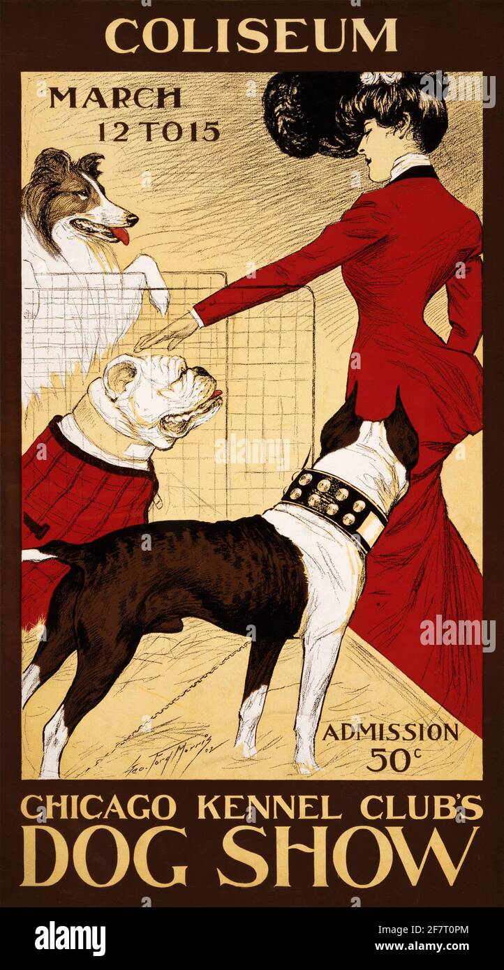 Dog den chicago 2025