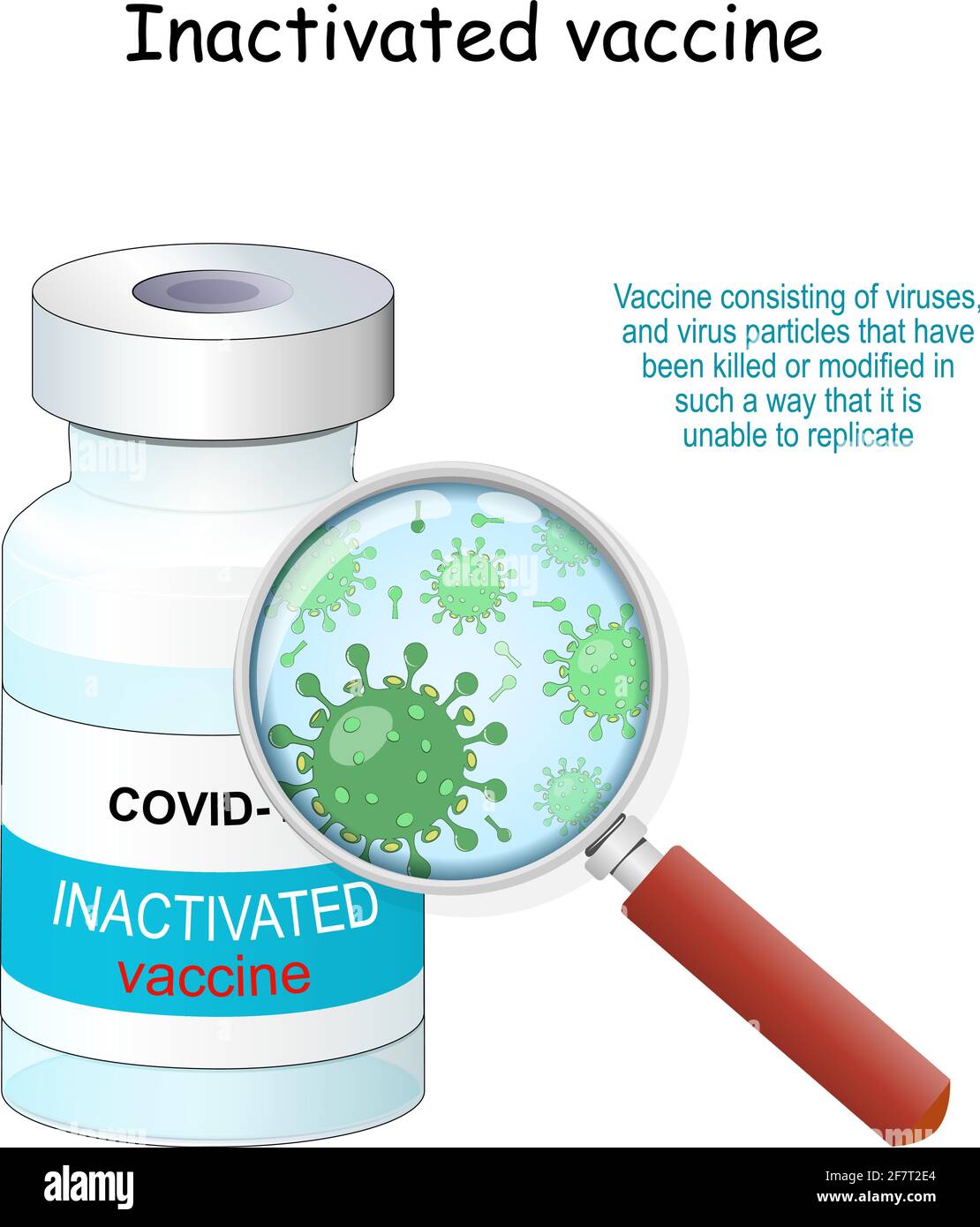 Covid-19-Coronavirus. Inaktivierter Impfstoff. Impfstofffläschchen und Lupe mit Vergrößerung von Viren und abgetöteten Viruspartikeln Stock Vektor