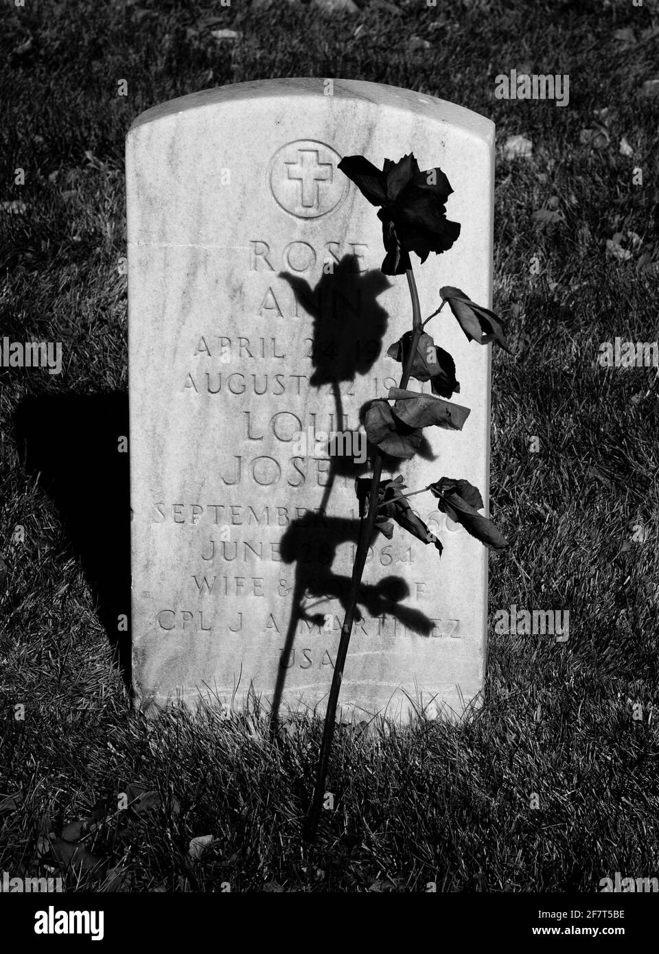 Eine einzelne rote Rose schmückt das Grab einer Frau namens Rose, die auf dem Santa Fe, National Cemetery in Santa Fe, New Mexico, begraben ist. Stockfoto