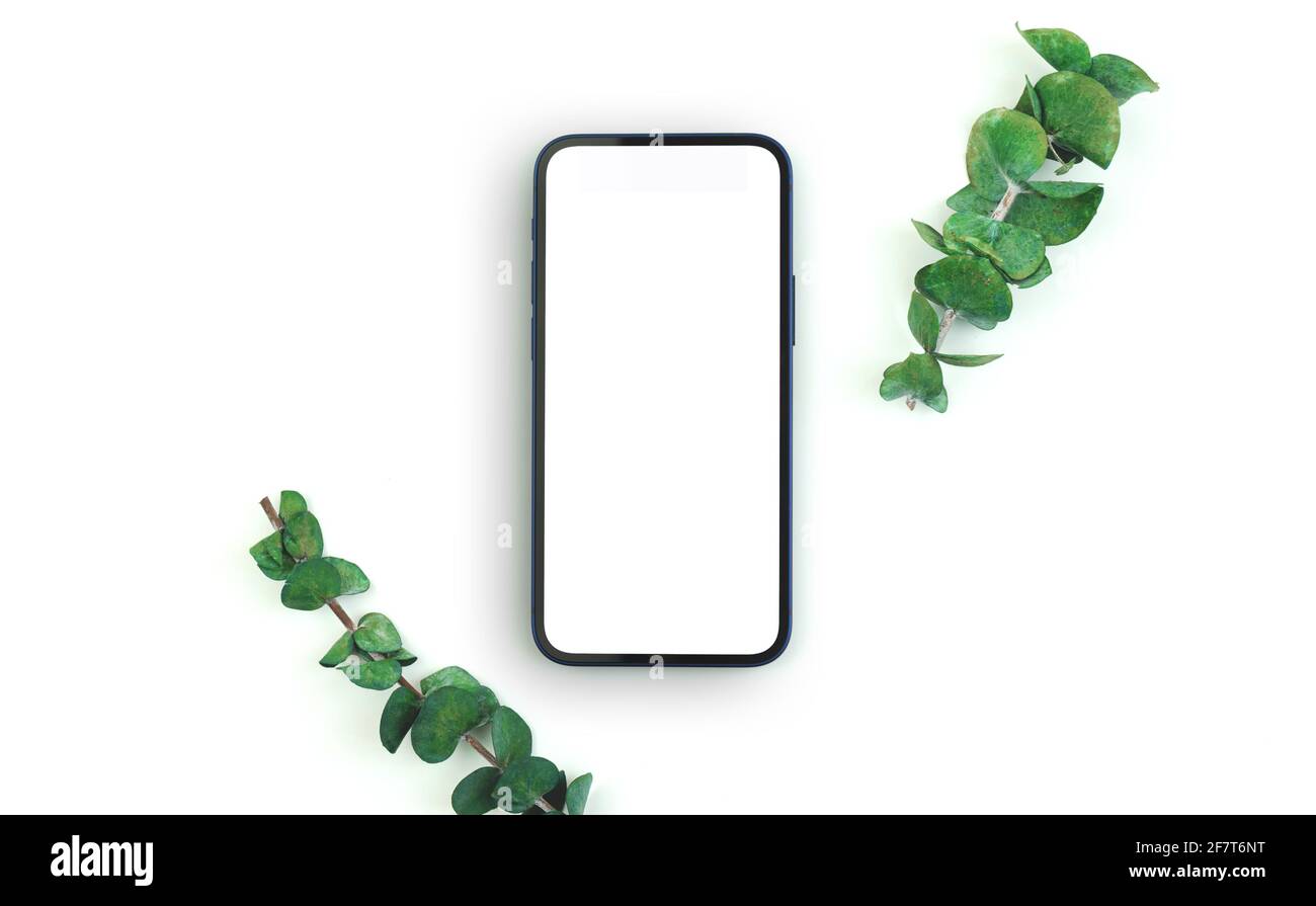Bildschirm flach Lay Mockup, Handy leeren Bildschirm mit grünen Ästen, floralen Hintergrund Foto Stockfoto