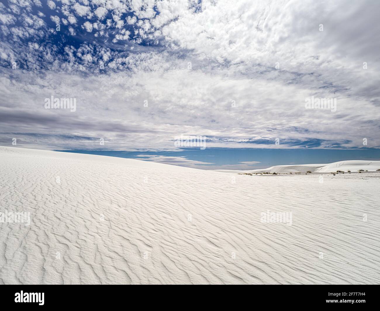 Textur in den weißen Sanddünen im White Sands National Park, New Mexico Stockfoto